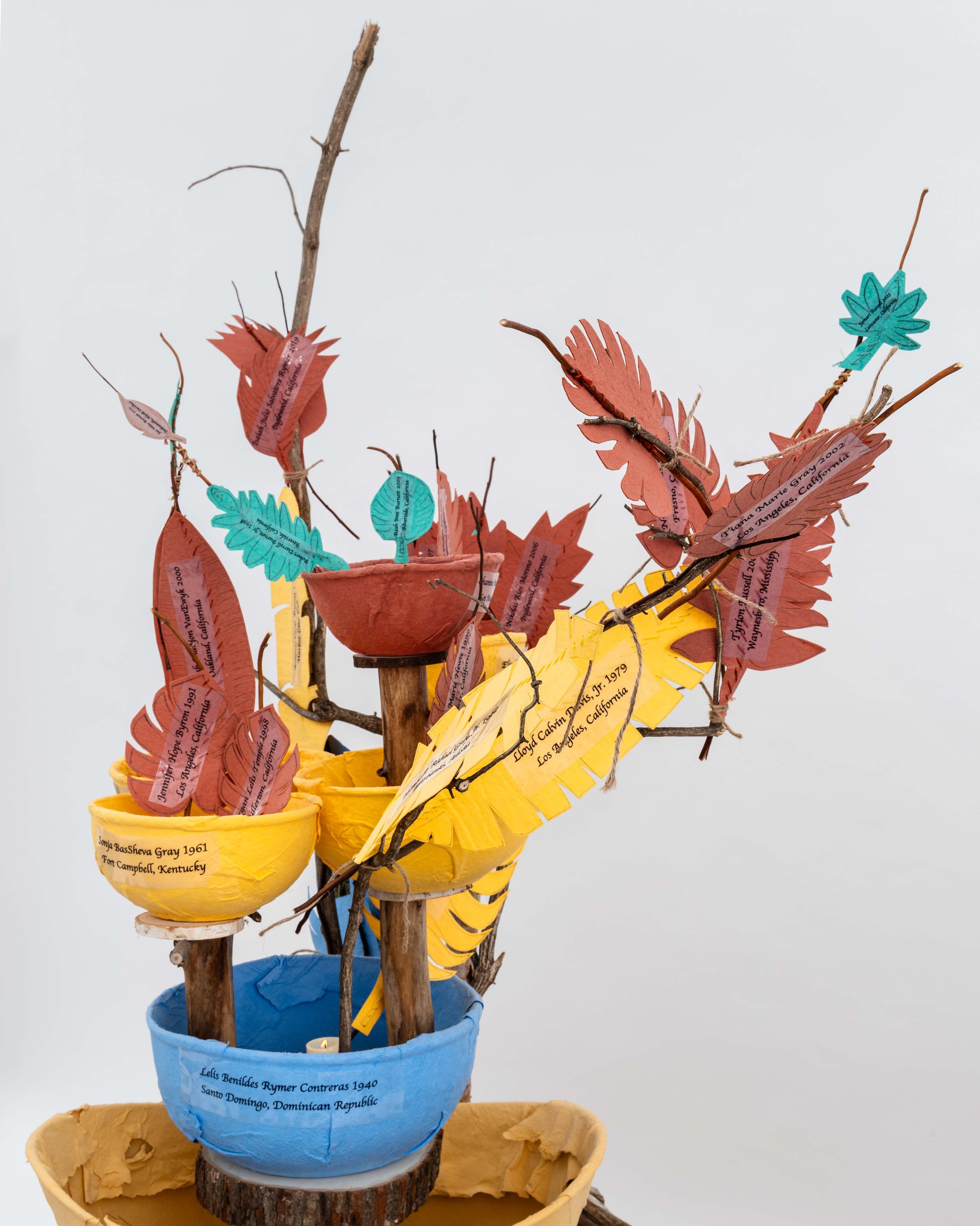 The Legacy of Bowls and Branches — installation photograph 11