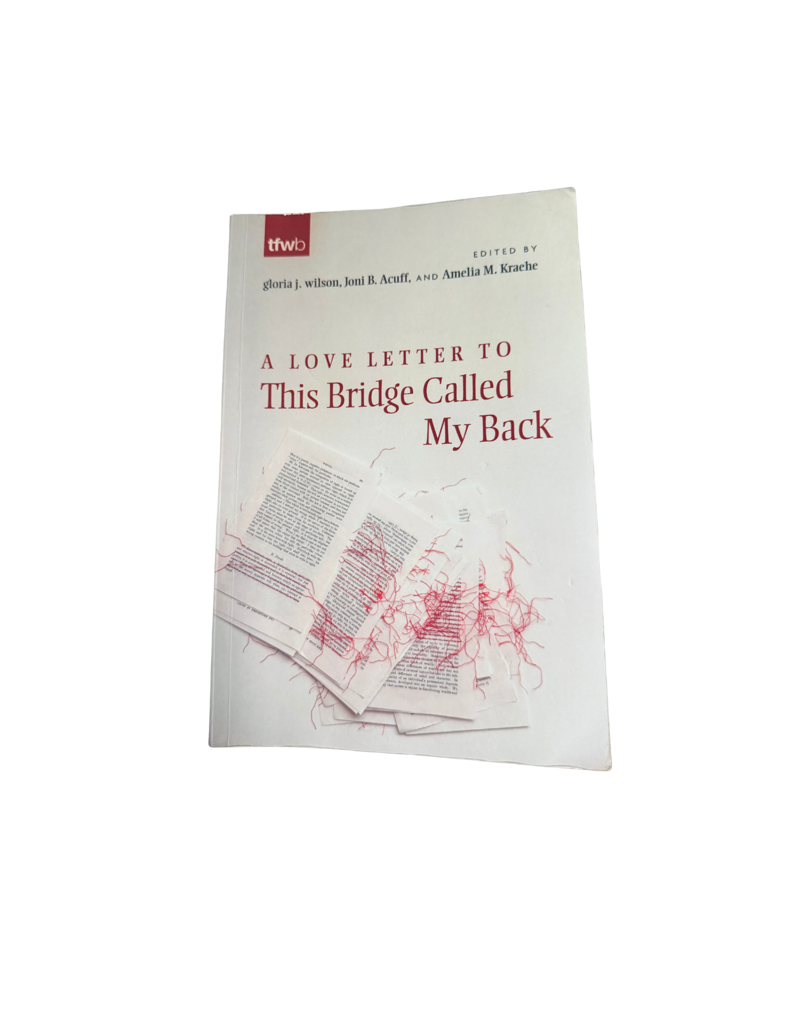 LoveLetter to Bridge Called My Back.png
