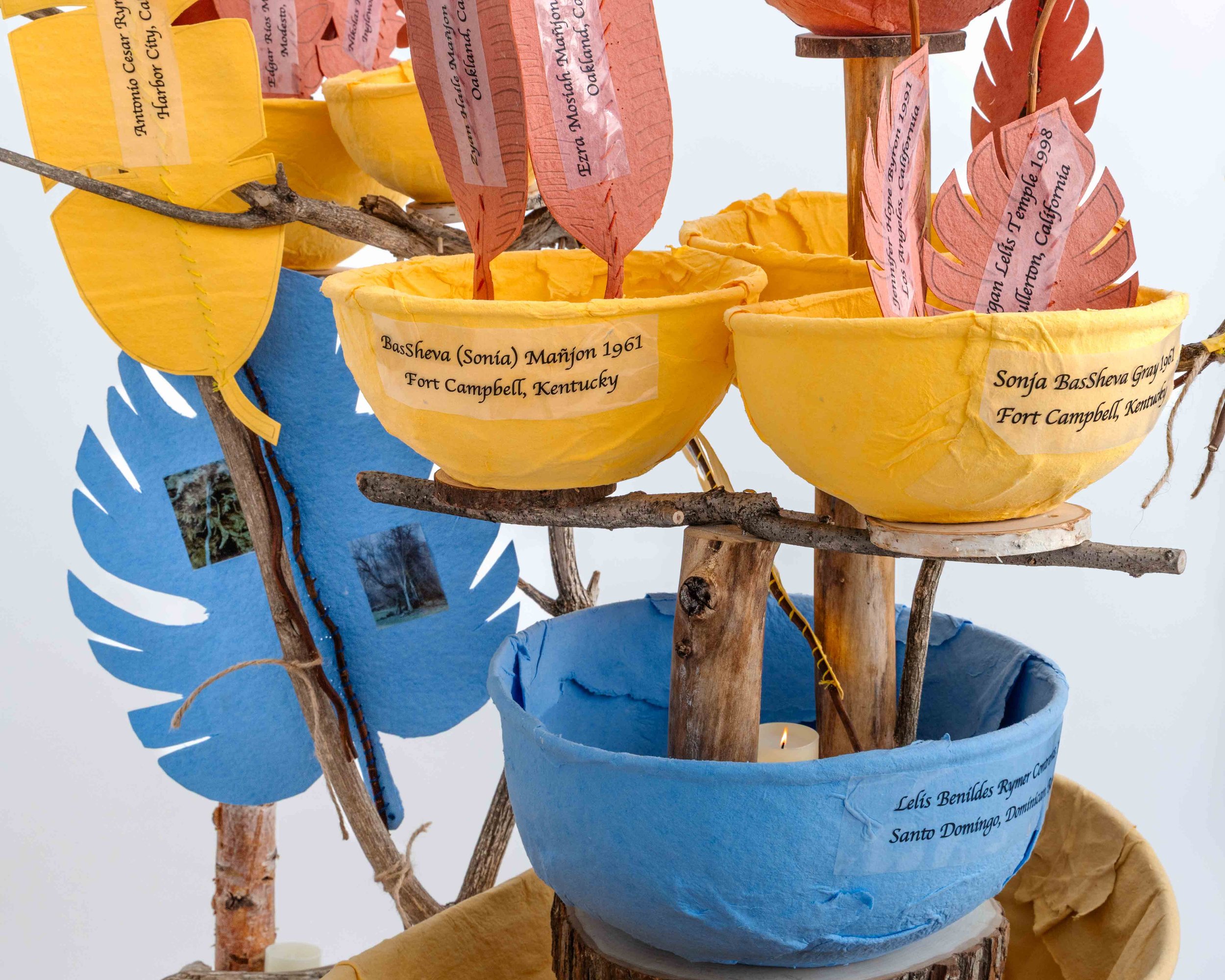 The Legacy of Bowls and Branches — installation photograph 12