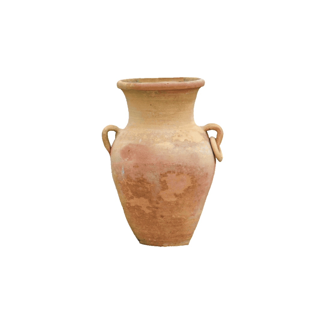 BasSheva 2.gif