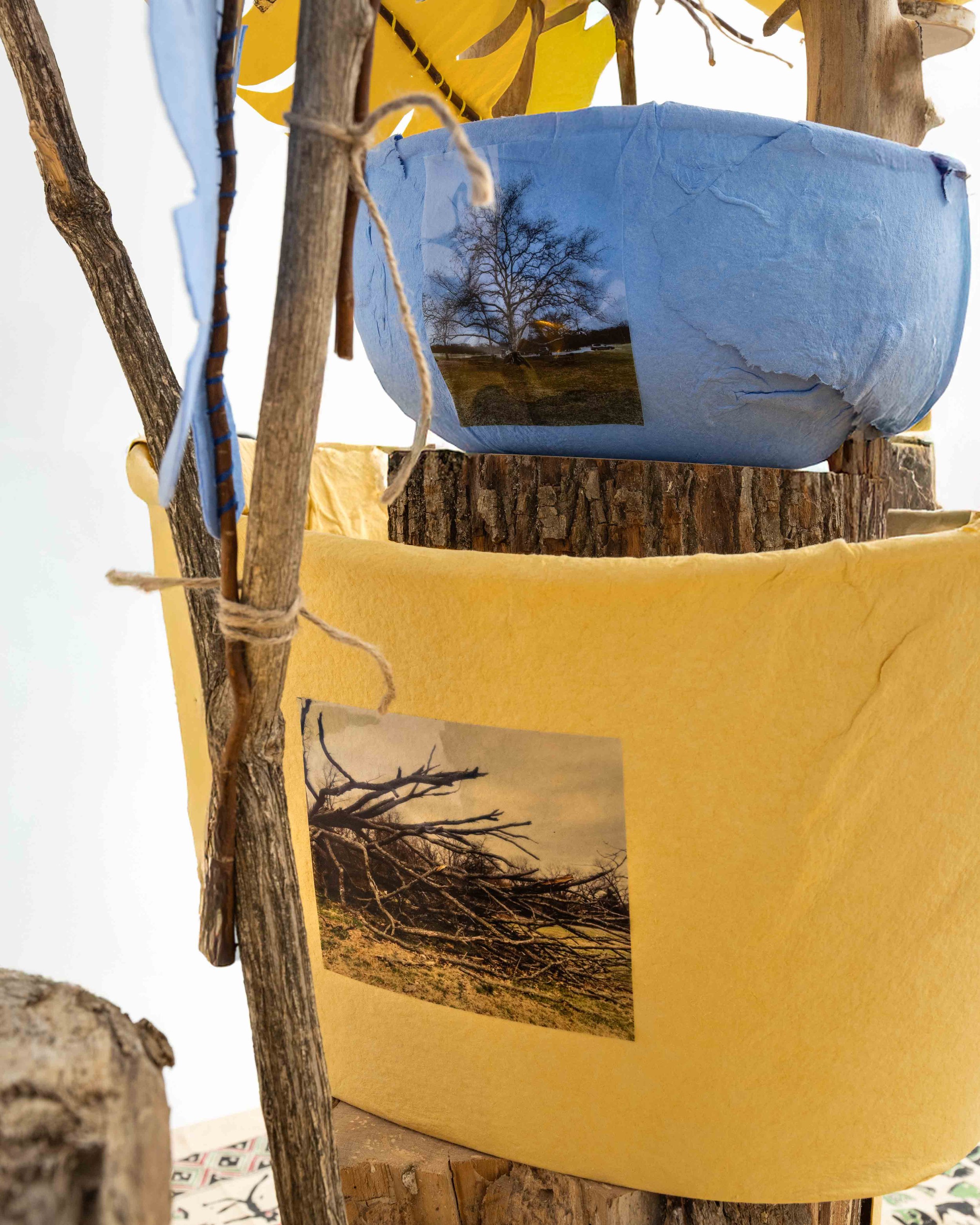 The Legacy of Bowls and Branches — installation photograph 5