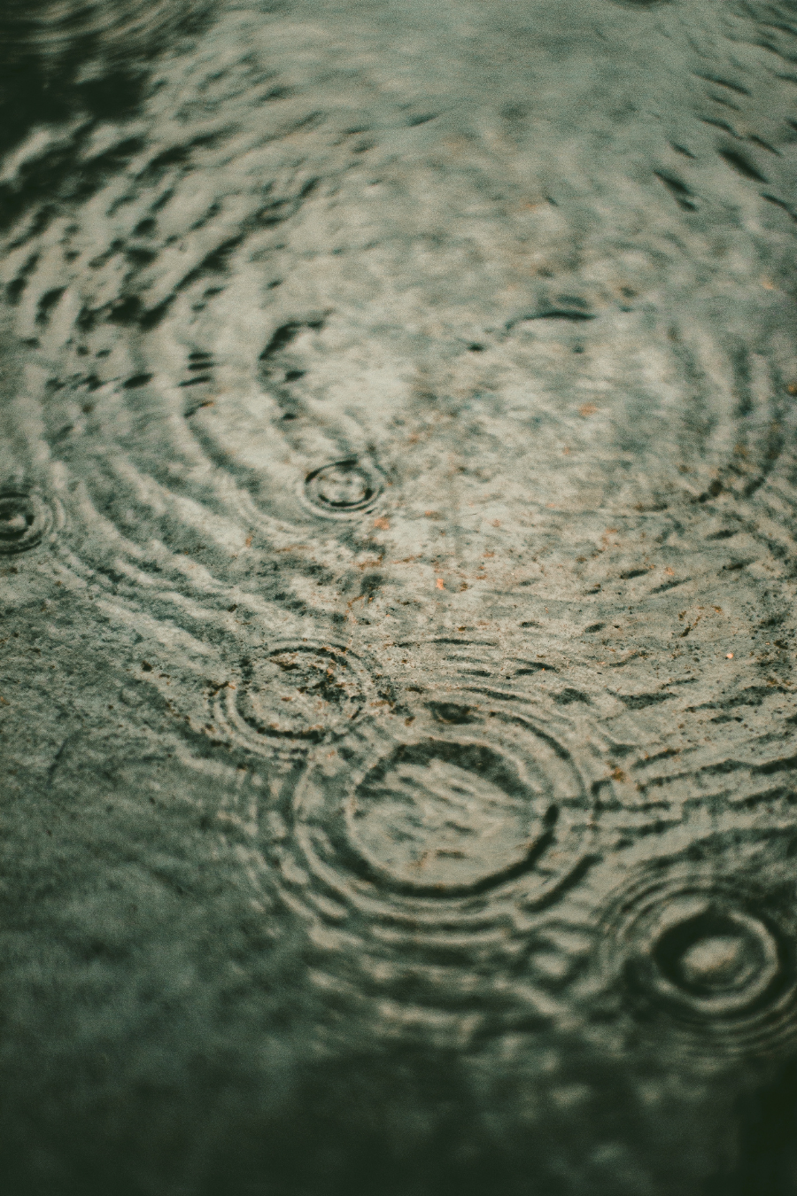 ripples in water from rain.png.png