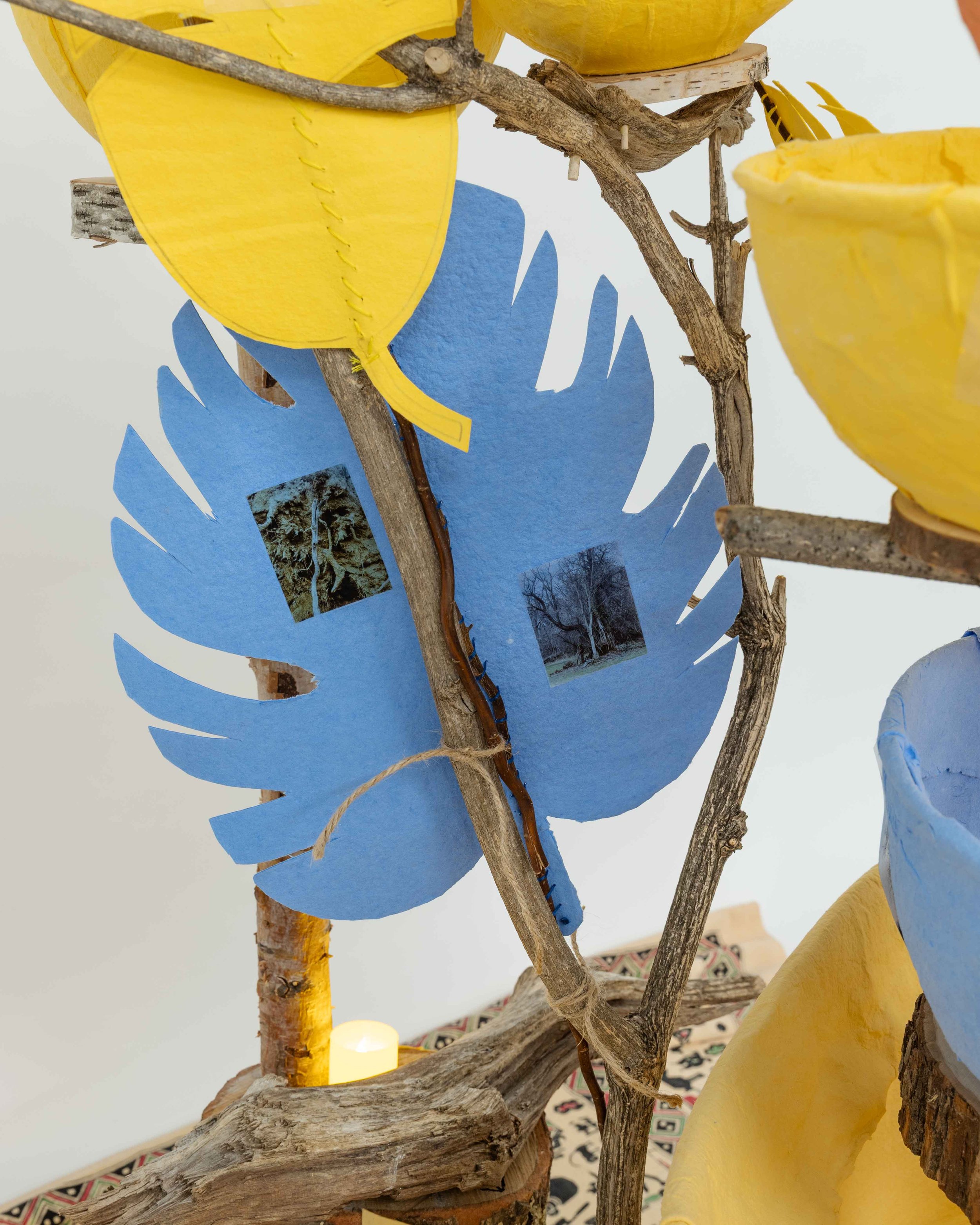 The Legacy of Bowls and Branches — installation photograph 4
