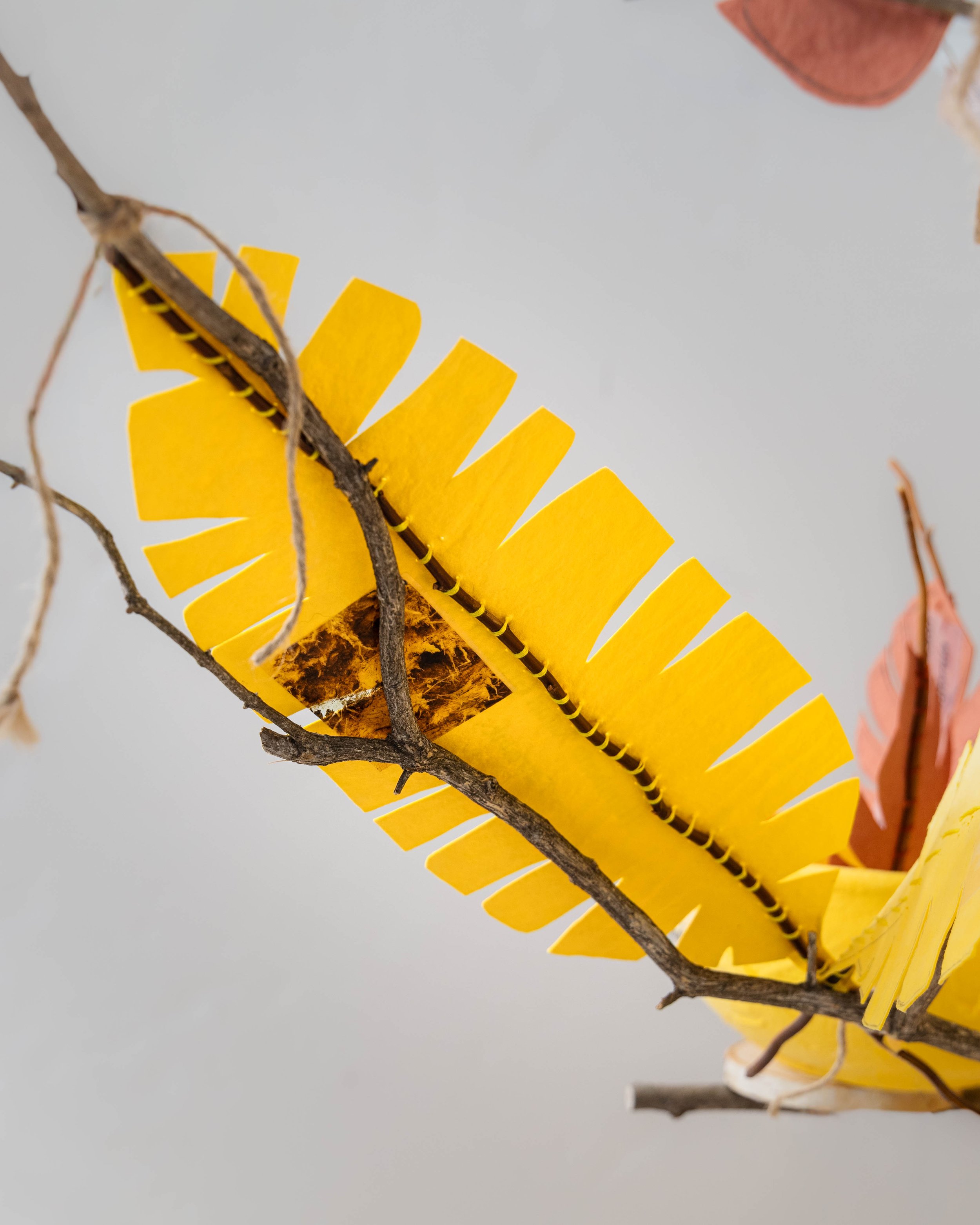 The Legacy of Bowls and Branches — installation photograph 7