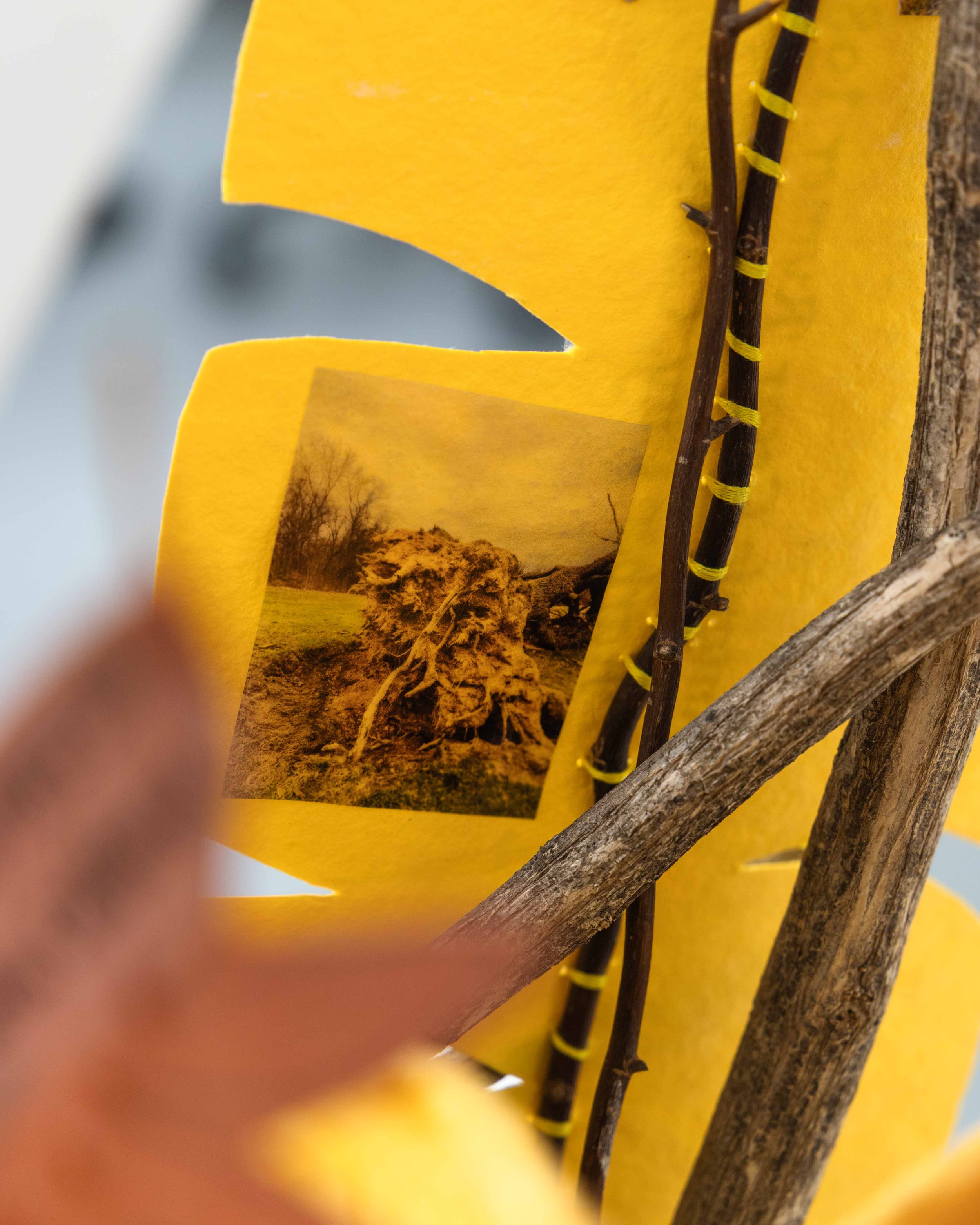 The Legacy of Bowls and Branches — installation photograph 8