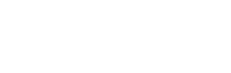 CSW Banner.png