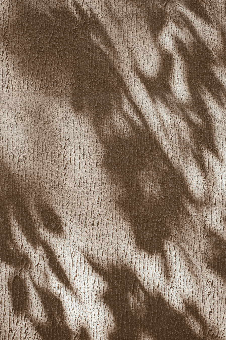 shadow 1.png